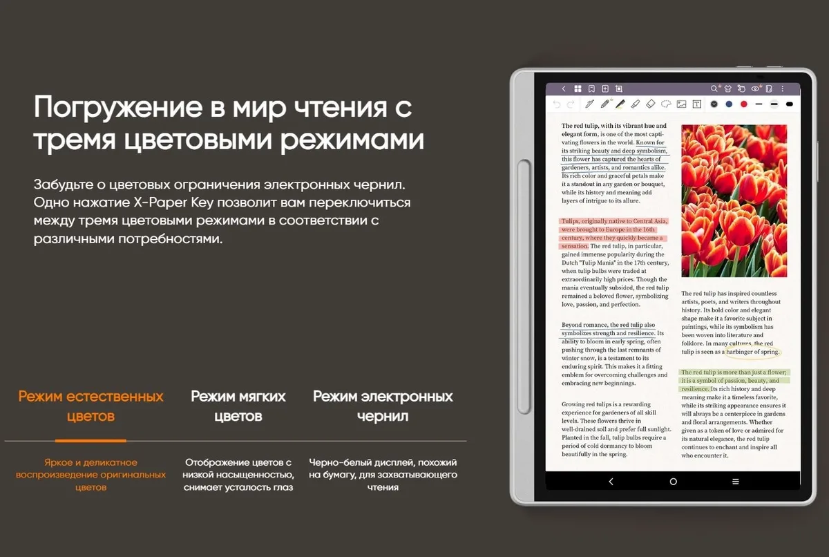 Графический планшет XP-PEN Magic Note Pad