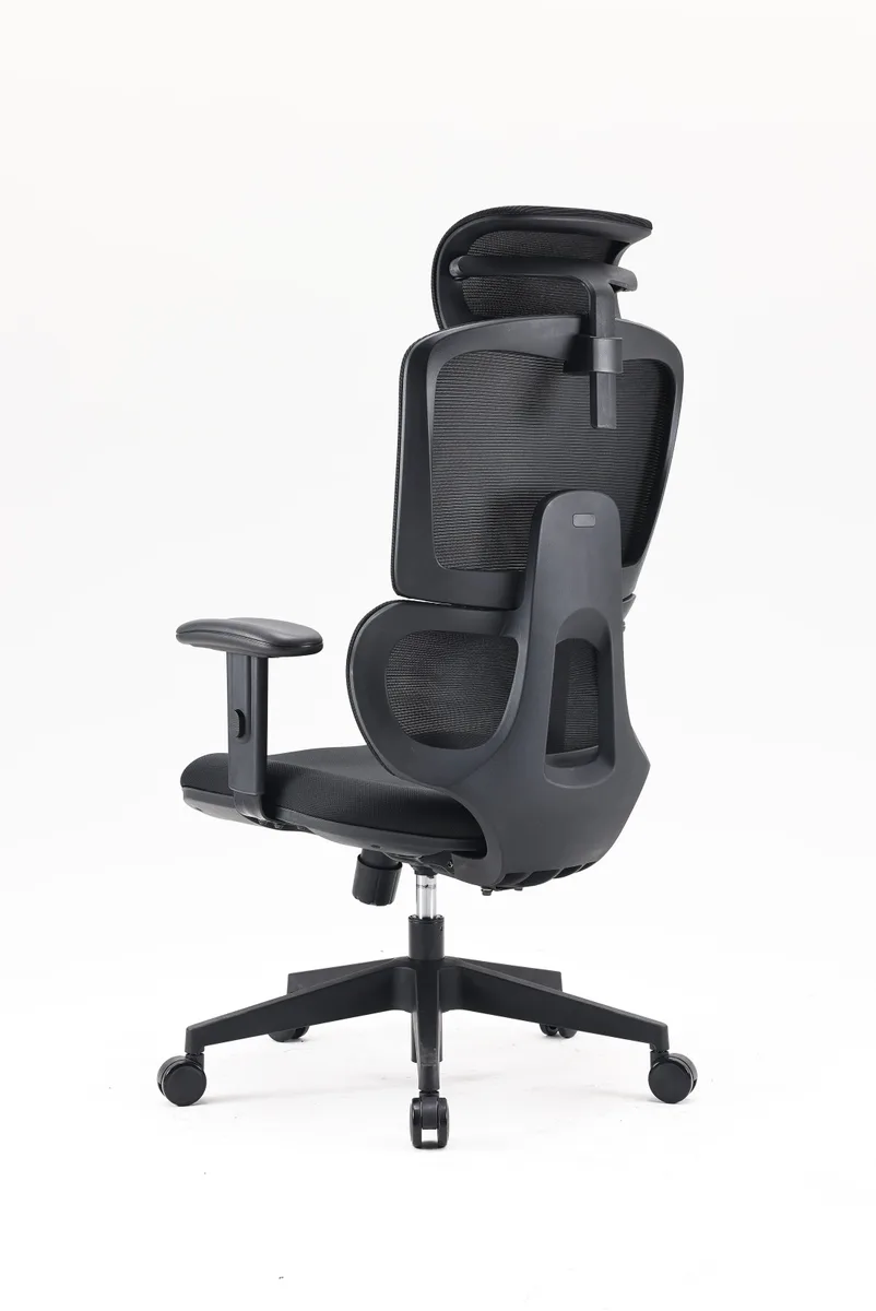 Компьютерное кресло SIHOO M105C-101 Черный