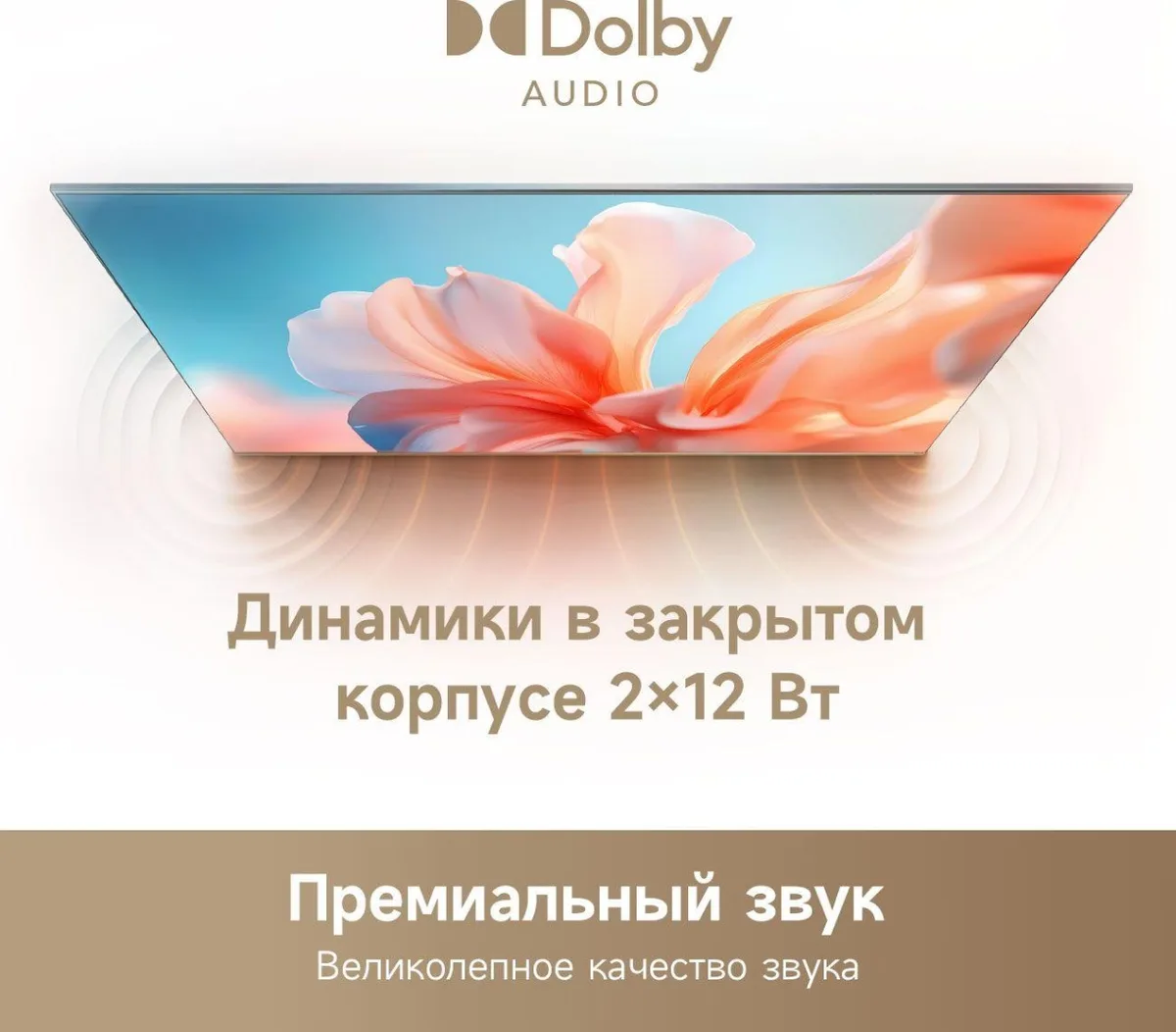 Телевизор Dreame Smart 32 32Q10 81 см Черный