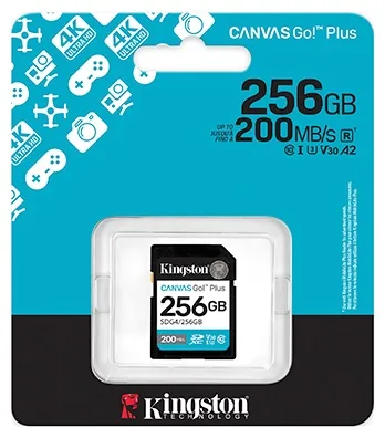 Карта памяти Kingston 256GB Class 10 U3 SDG4/256GB