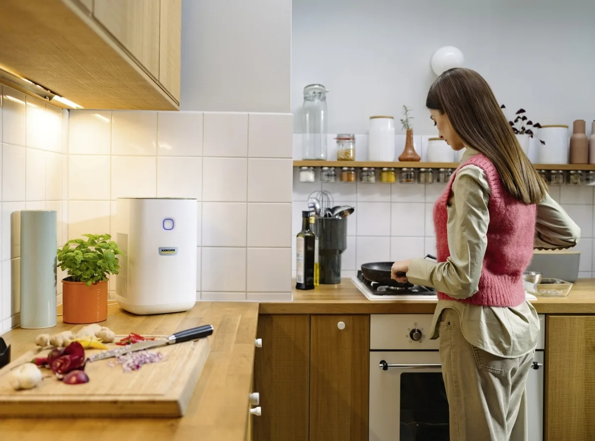 Очиститель воздуха Karcher AF20 Белый