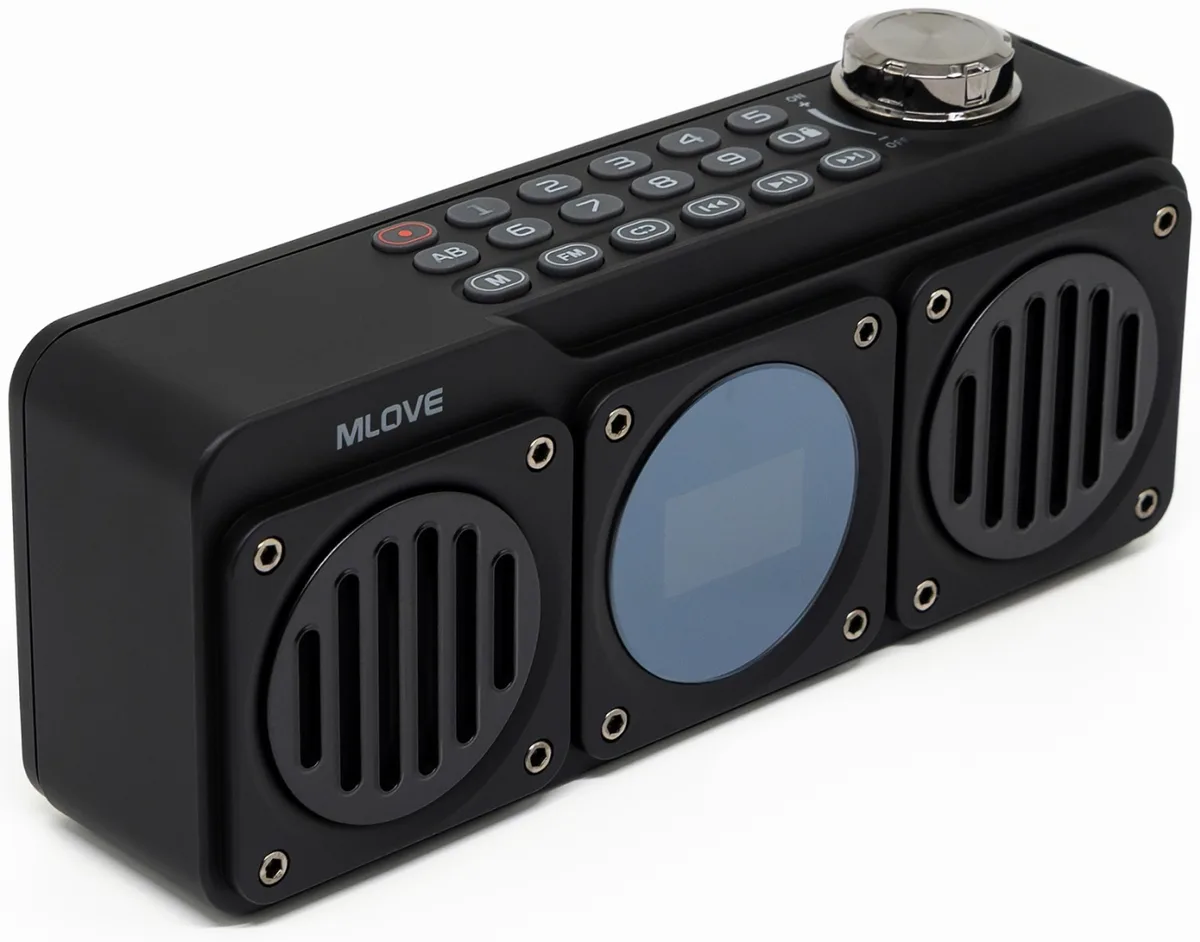 Портативная колонка MLOVE BV810 Черный