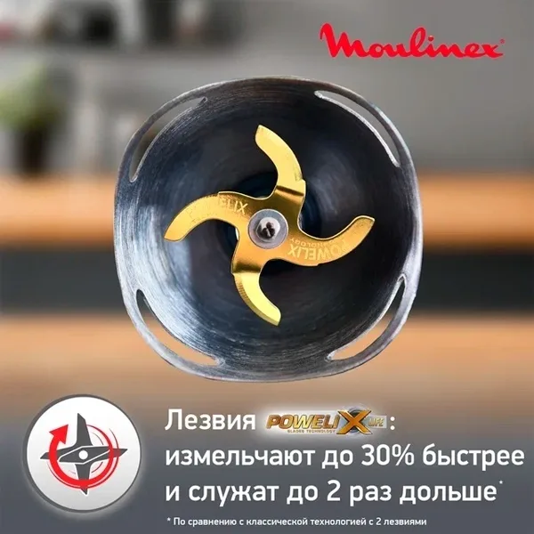Блендер погружной Moulinex InfinyForce Pro DD95MD10 Черный