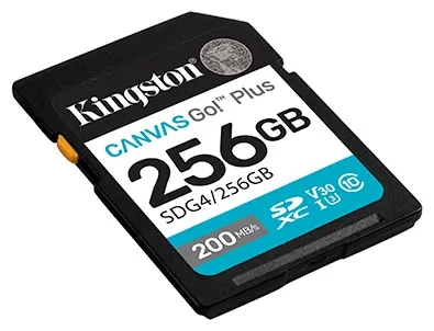 Карта памяти Kingston 256GB Class 10 U3 SDG4/256GB