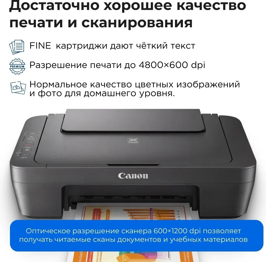 Принтер Canon Pixma MG2541S Серый