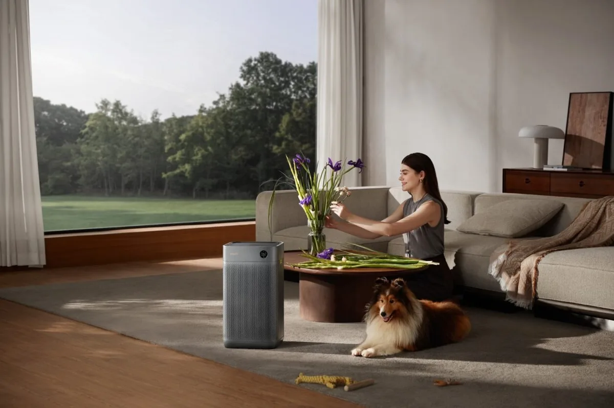 Очиститель воздуха Smartmi Air Purifier 3 Черный