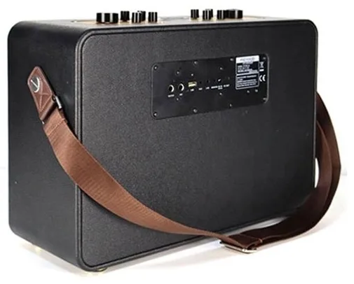 Колонка портативная Microlab KTV200 PRO Черный
