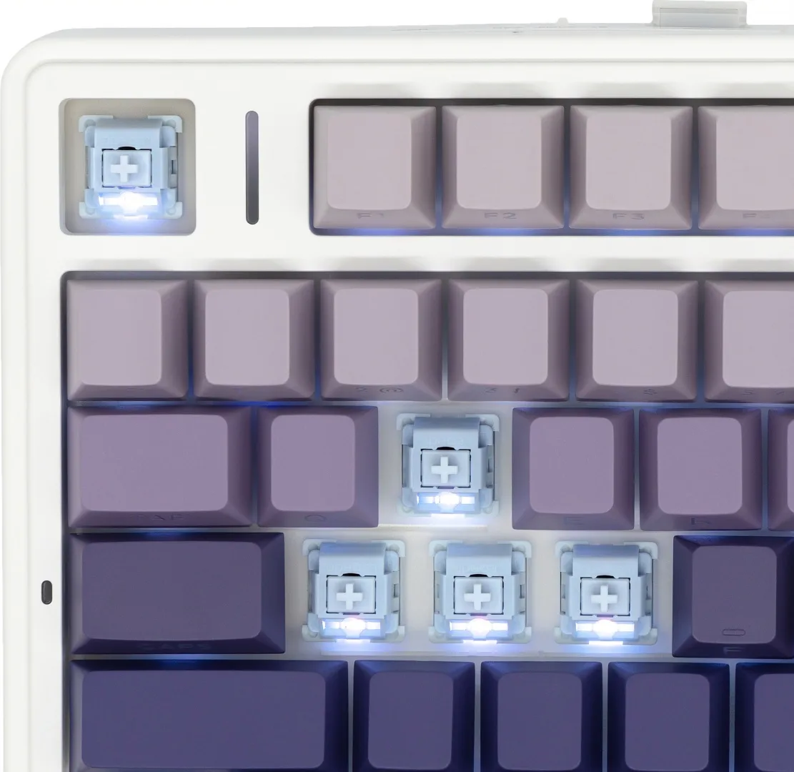 Клавиатура AULA F75 Blank Фиолетовый (0652)