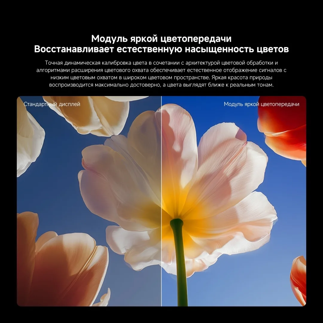 Телевизор Xiaomi TV S Mini LED 65 2026 L65MC-SRU 165 см Черный