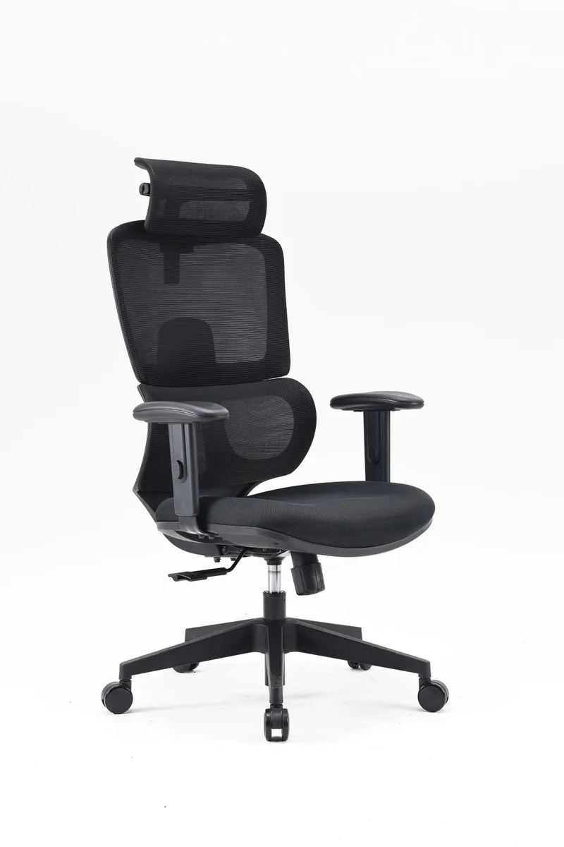Компьютерное кресло SIHOO M105C-101 Черный