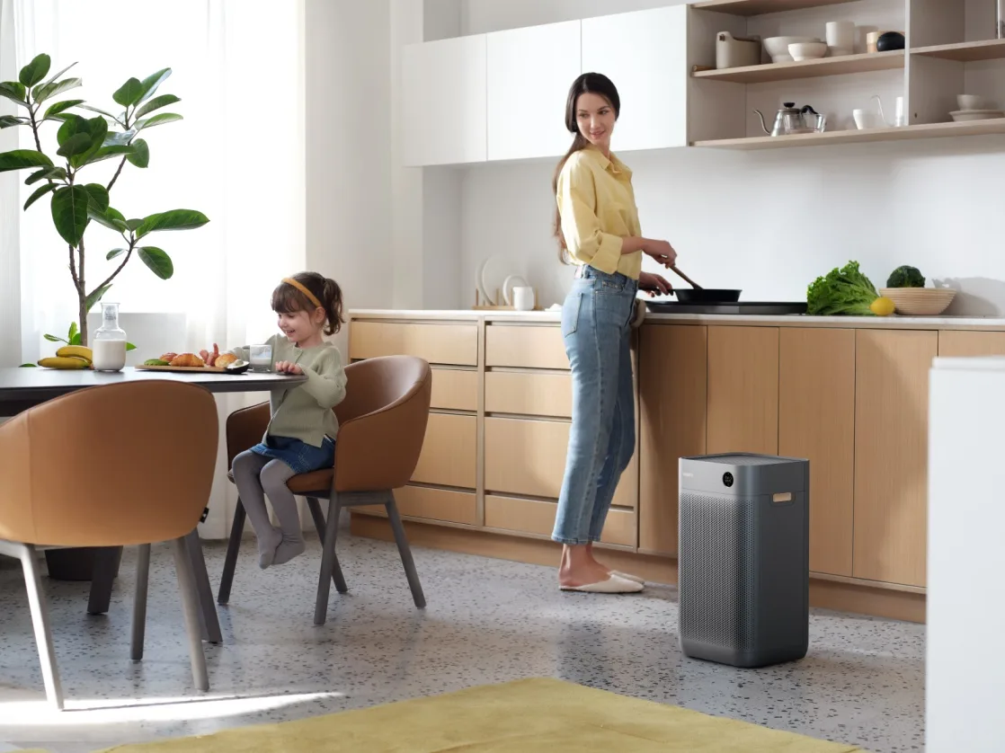 Очиститель воздуха Smartmi Air Purifier 3 Черный
