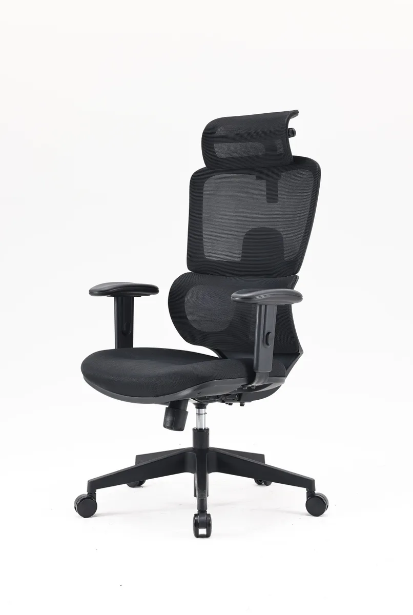 Компьютерное кресло SIHOO M105C-101 Черный