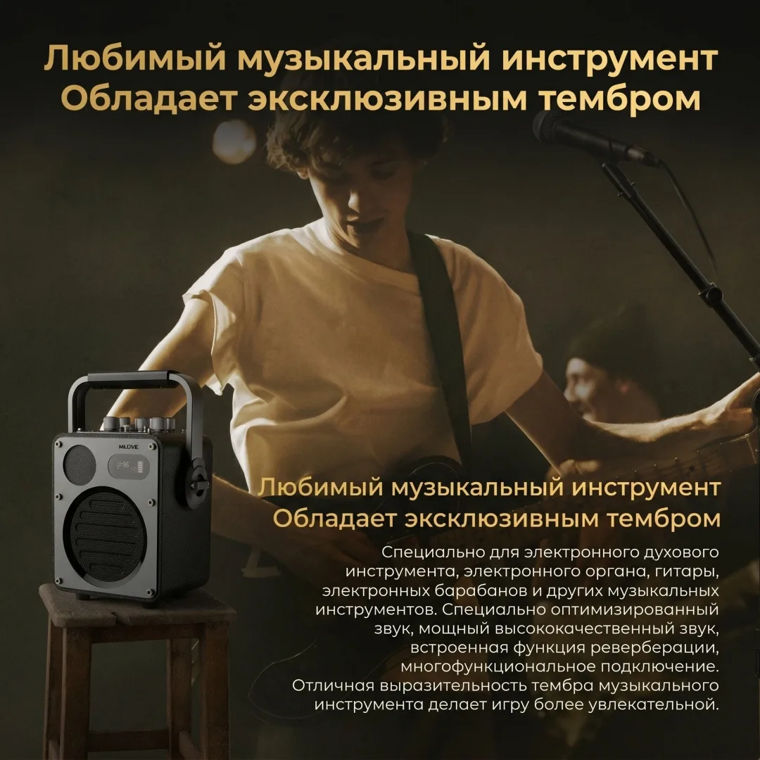 Портативная колонка MLOVE D4 Черный