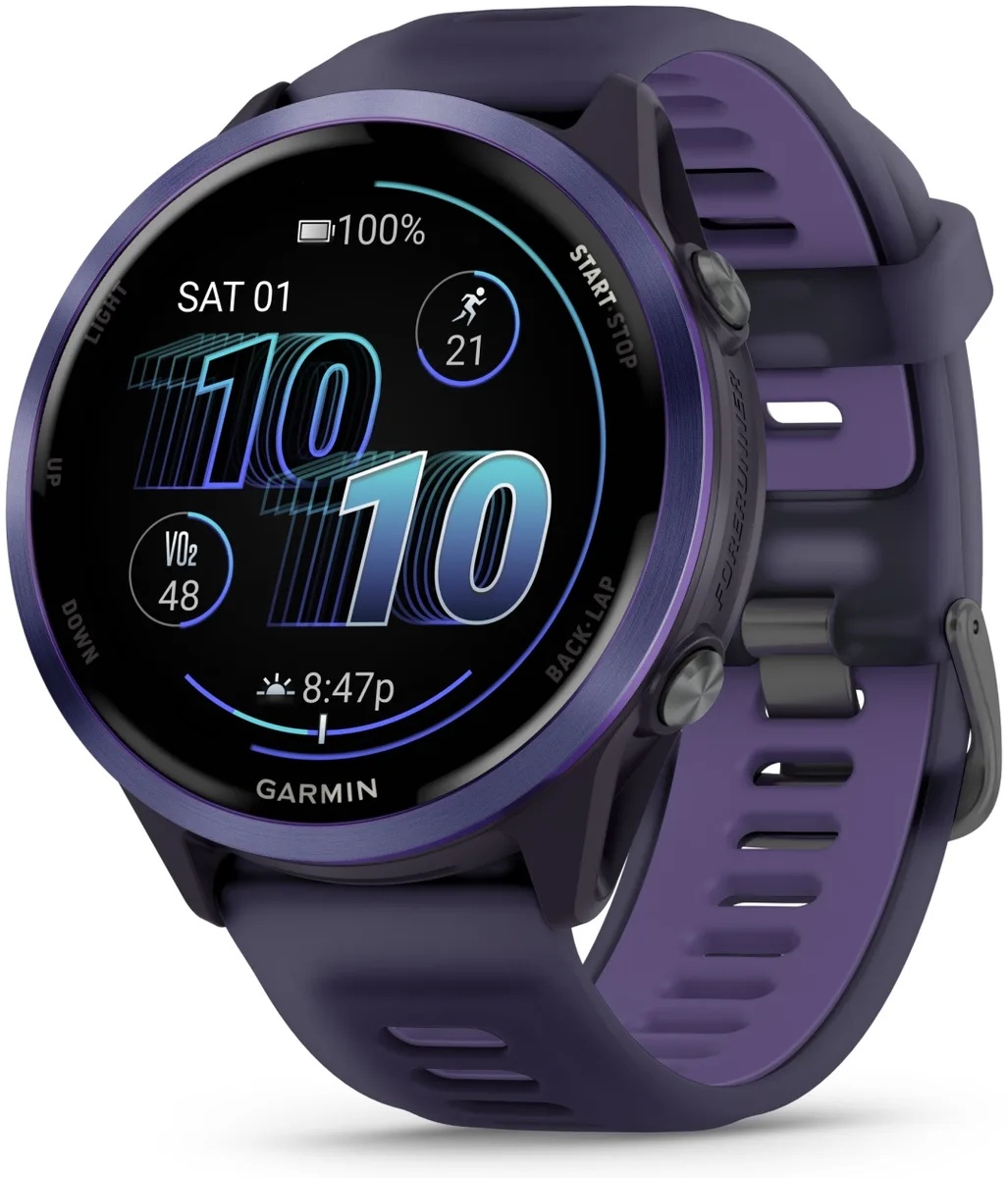 Смарт-часы Garmin Forerunner 570 47 мм фиолетовый (02971-02)