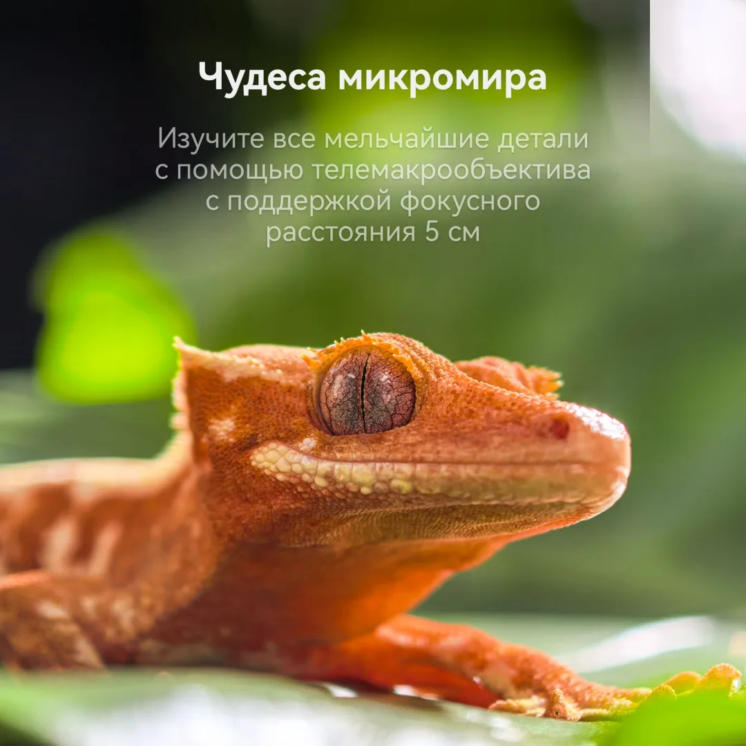 Смартфон Huawei Pura 80 Pro LMR-LX9 12/512GB Белый