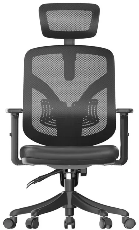 Компьютерное кресло SIHOO M56-B121 Черный