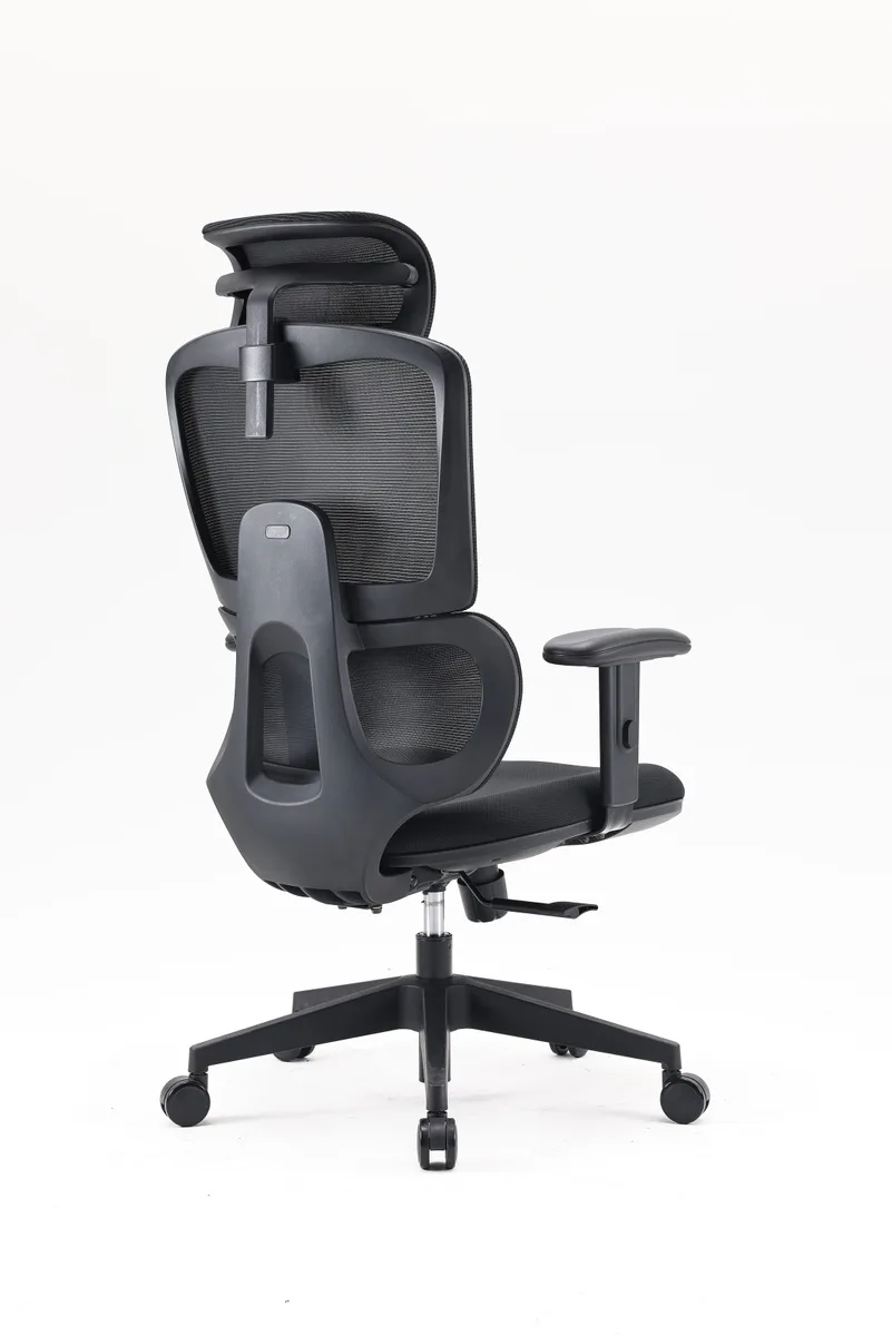 Компьютерное кресло SIHOO M105C-101 Черный