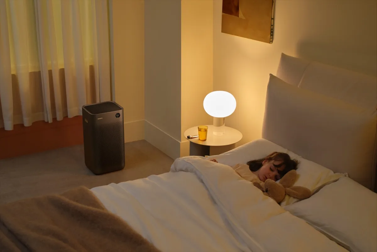 Очиститель воздуха Smartmi Air Purifier 3 Черный