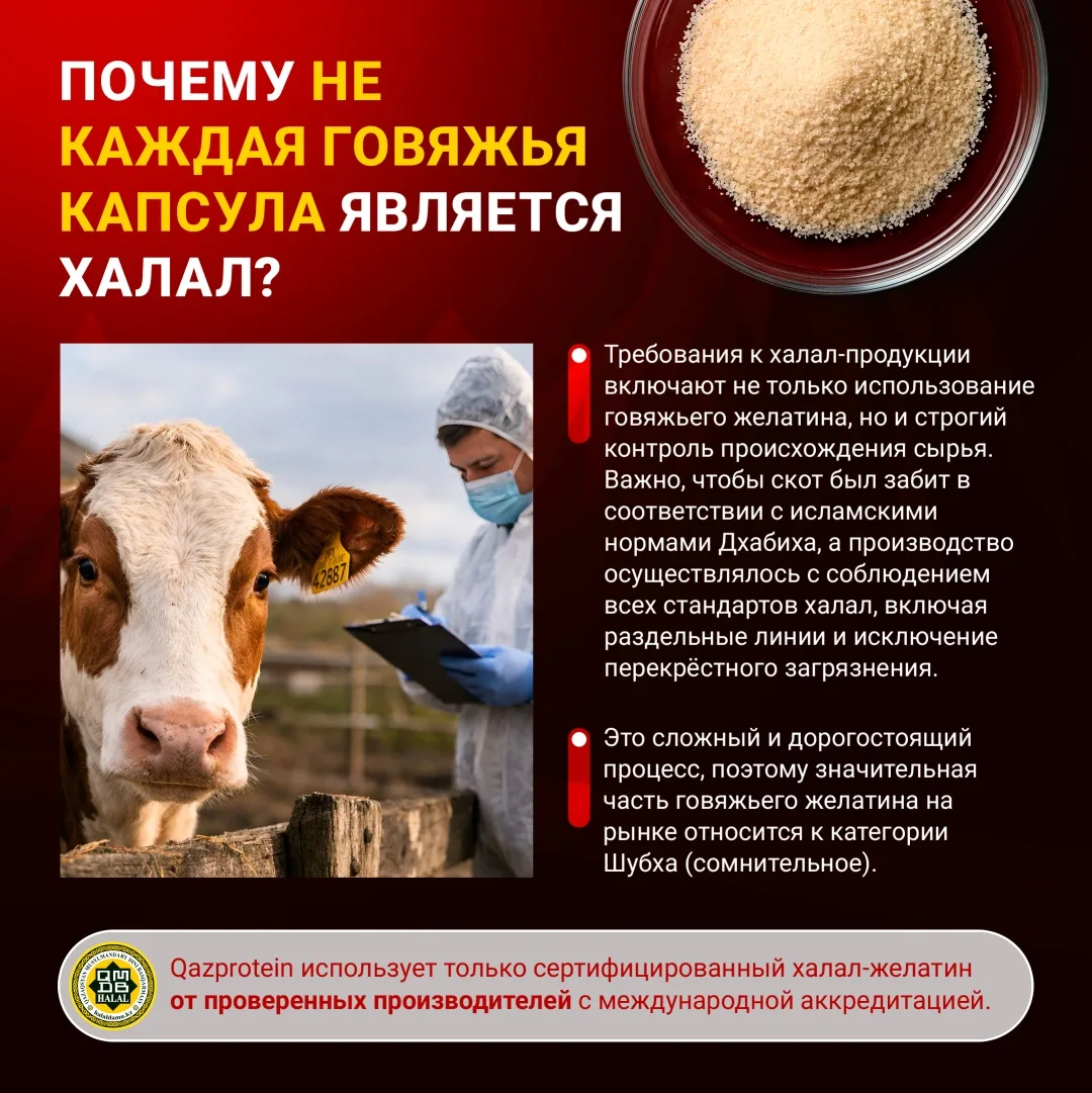 БАД Qazprotein Omega 3 200 капс (1113)