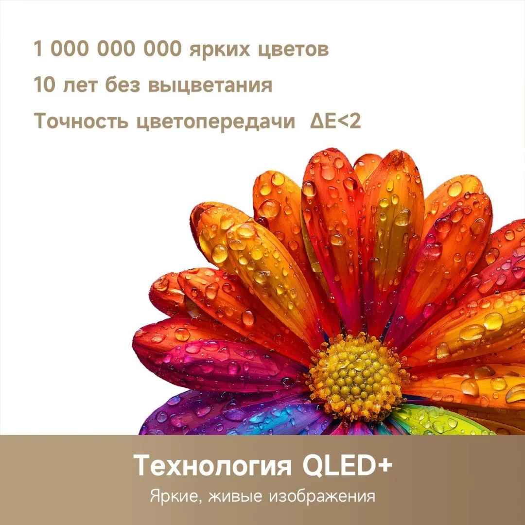 Телевизор Dreame Smart 32 32Q10 81 см Черный