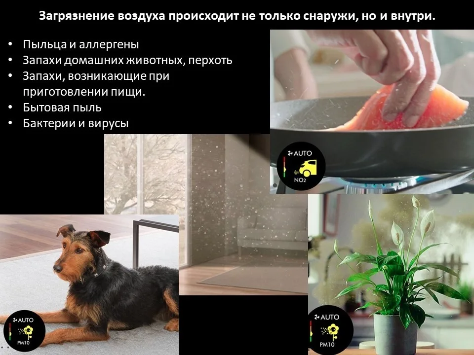 Очиститель воздуха Dyson BP02 Big+Quiet Purifier белый (304511-01)