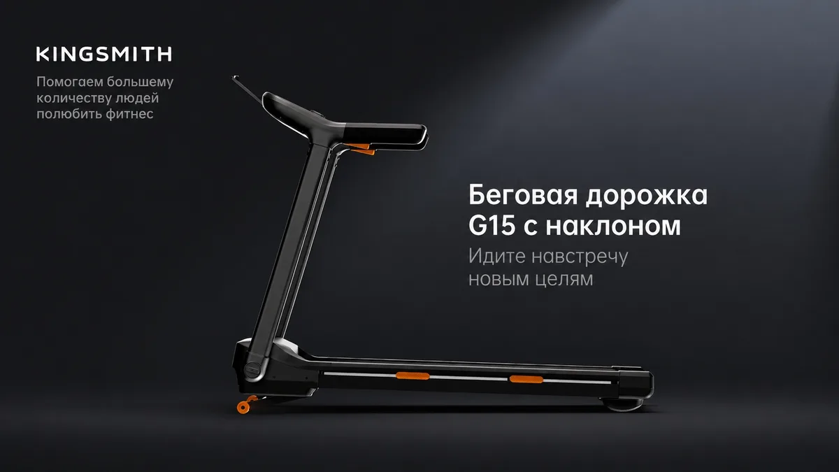 Беговая дорожка KINGSMITH G5i WP500L5 Черный