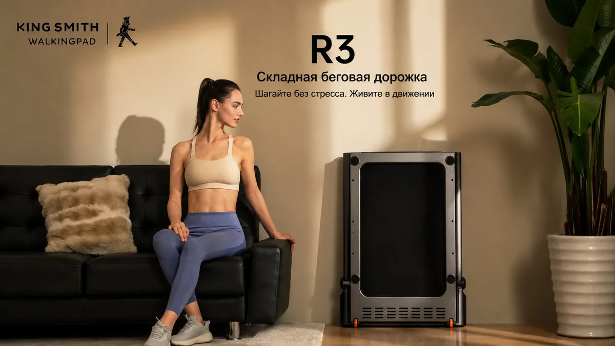 Беговая дорожка KINGSMITH Treadmill R3 WP440F4 Черный